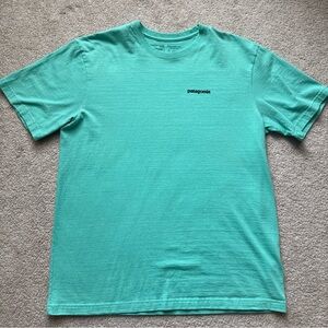 Patagonia Men's Aqua T-Shirt size medium